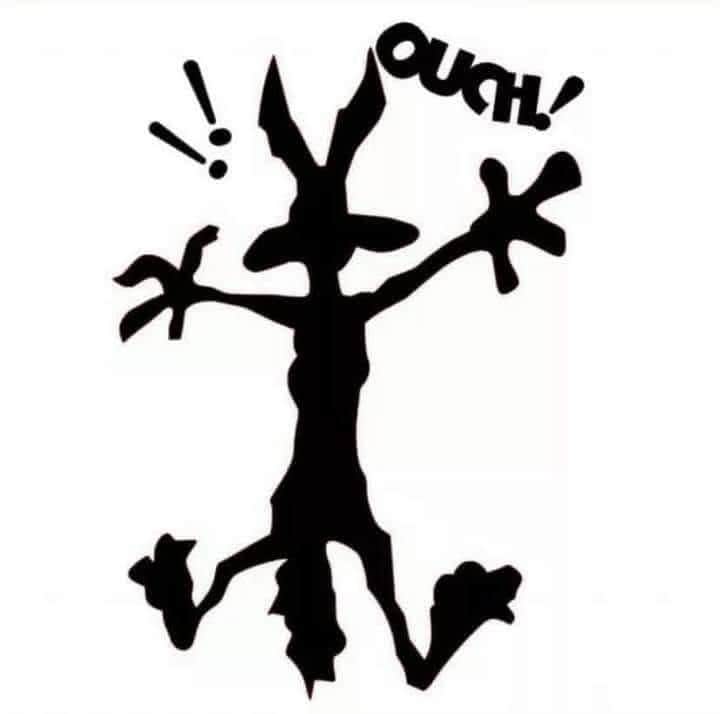 Road Runner Decal
