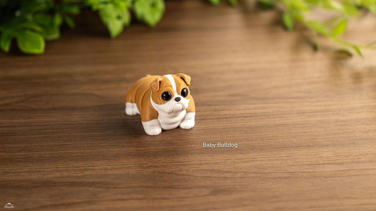 Baby Bulldog