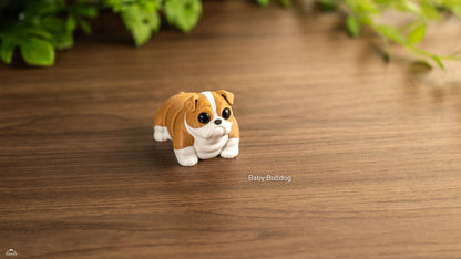 Baby Bulldog