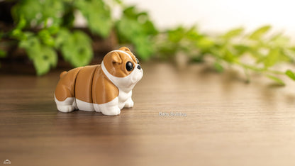 Baby Bulldog