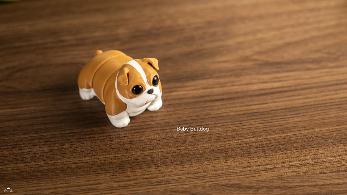 Baby Bulldog