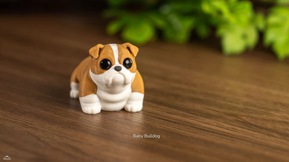Baby Bulldog