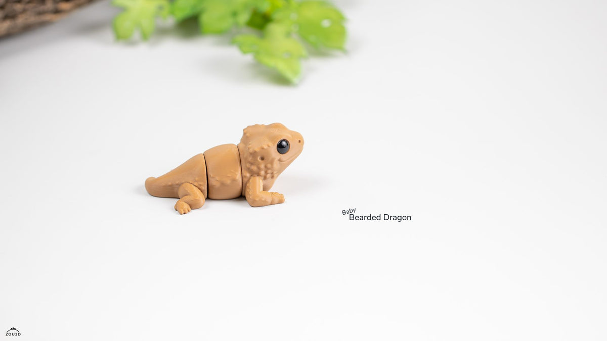 Baby Bearded Dragon