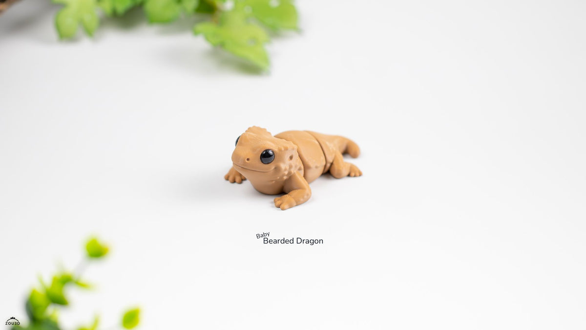 Baby Bearded Dragon