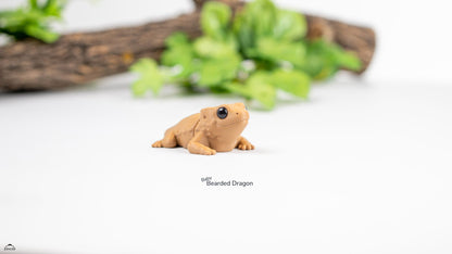Baby Bearded Dragon