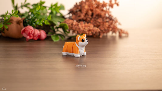 Baby Corgi