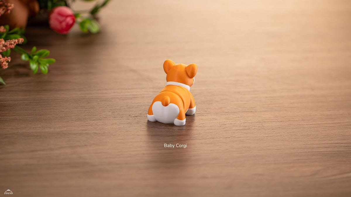 Baby Corgi