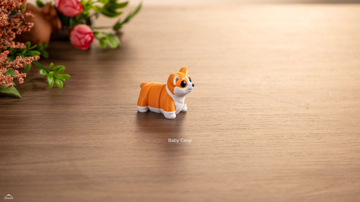 Baby Corgi