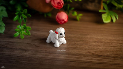 Baby Poodle