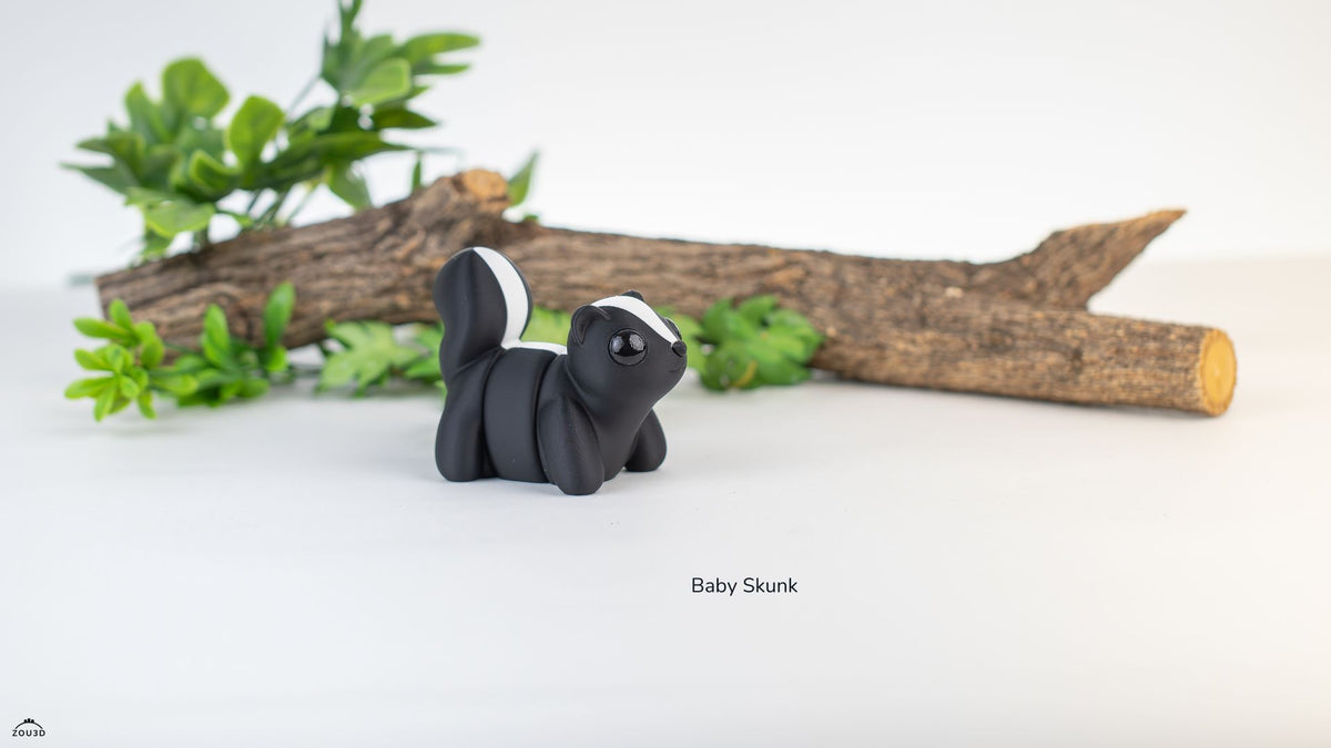 Baby Skunk