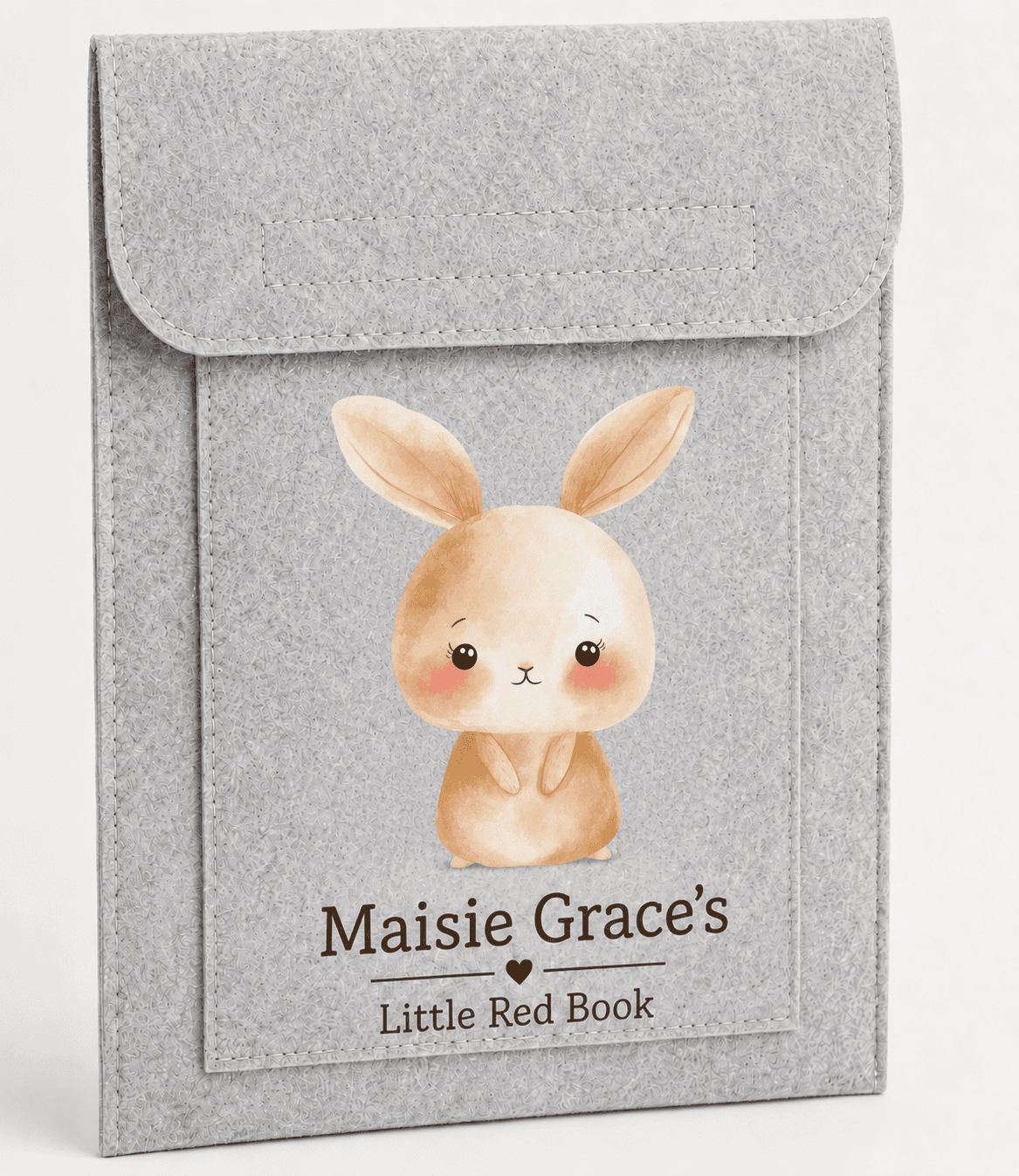 Personalised Health Record Pouch