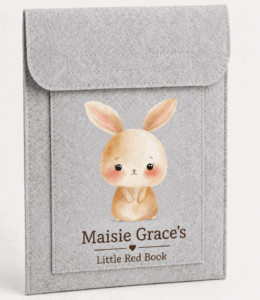 Bunny plush toy in grey felt book cover, perfect for children's gifts and storytelling.